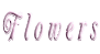 Ԃ̎ʐ^W
